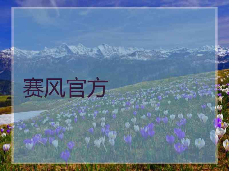 赛风官方