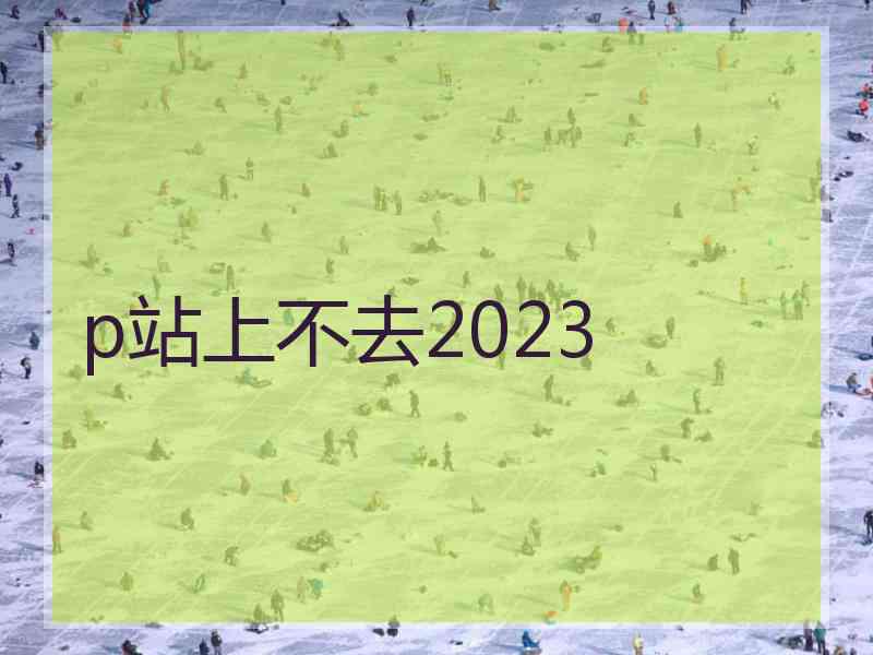 p站上不去2023