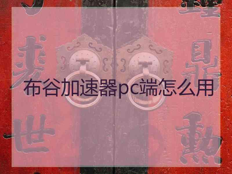 布谷加速器pc端怎么用