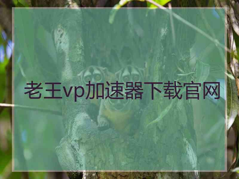 老王vp加速器下载官网