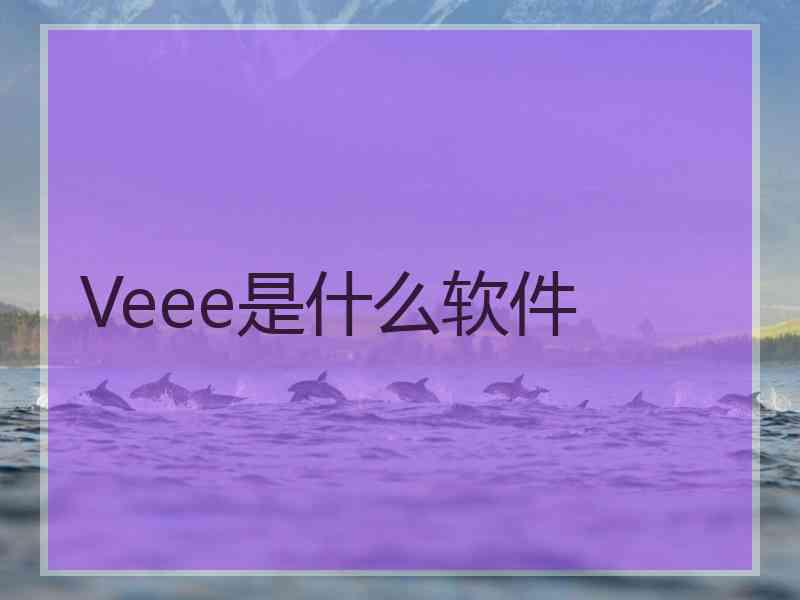 Veee是什么软件