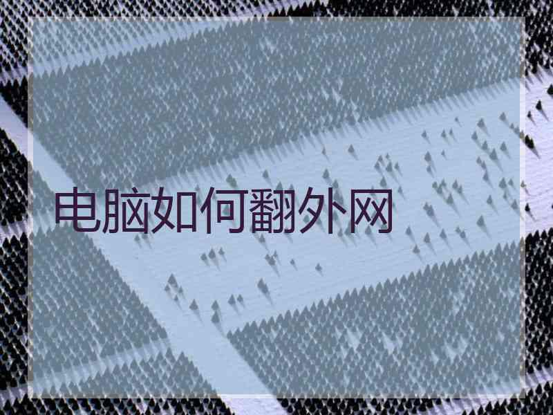 电脑如何翻外网