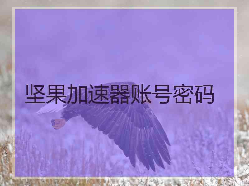 坚果加速器账号密码