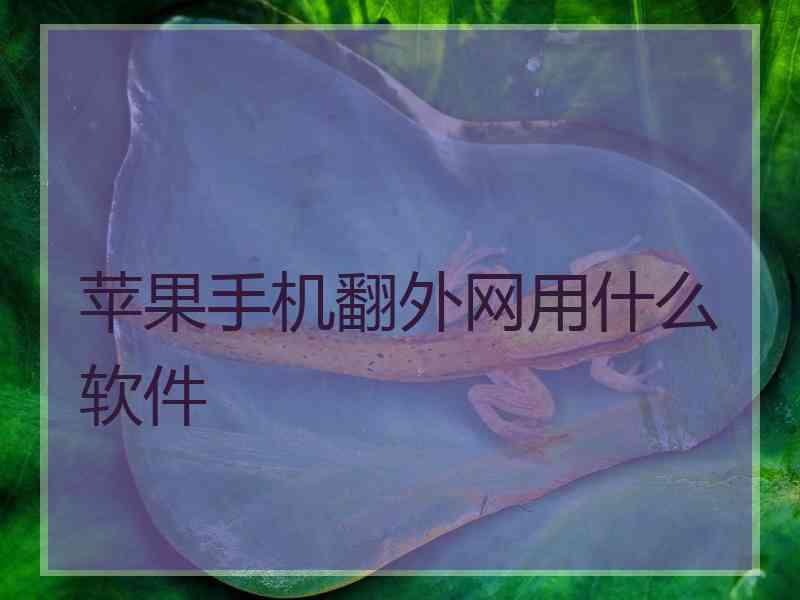 苹果手机翻外网用什么软件