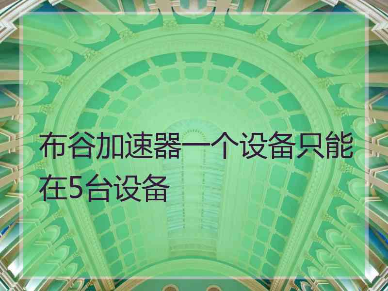 布谷加速器一个设备只能在5台设备