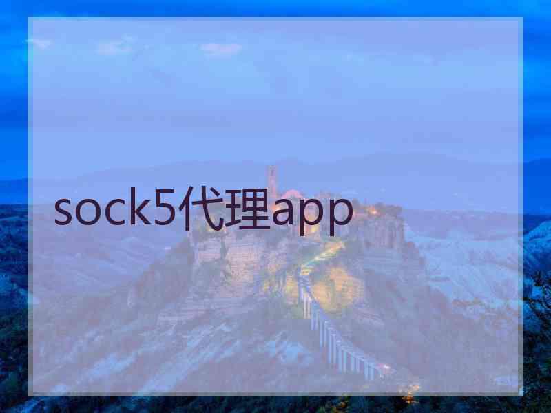 sock5代理app
