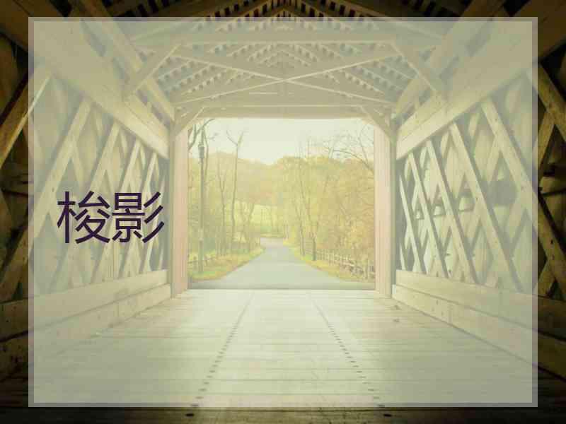 梭影