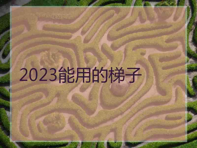 2023能用的梯子