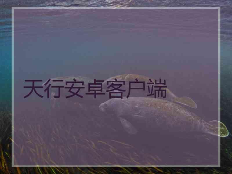 天行安卓客户端