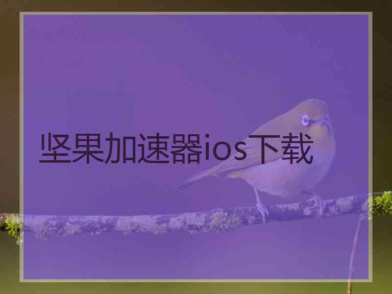 坚果加速器ios下载