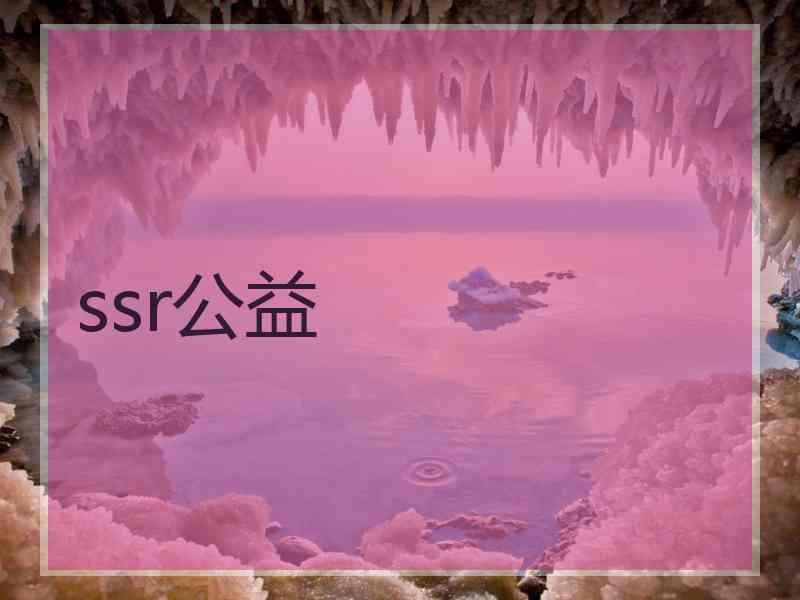 ssr公益